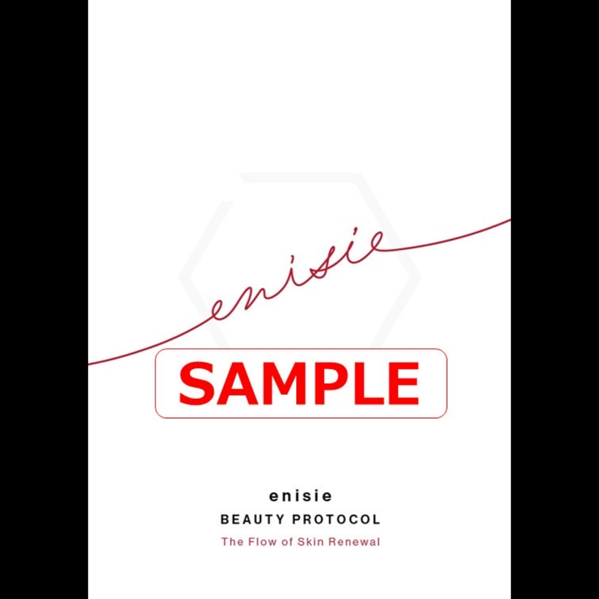 RHYTHM enisie エニシーシリーズ 公式総合パンフレット(A5冊子)×100冊