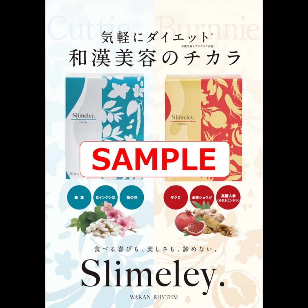 RHYTHM スリムレイ 公式リーフレット(A5二つ折り) ×100部