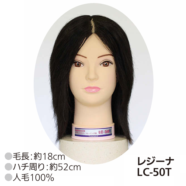 国家試験練習用カットウィッグ レジーナ LC-50T